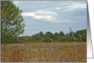 Fall Field Blank Card