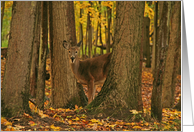 Surprised Deer Blank Card