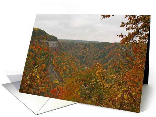 Letchworth Canyon In Fall Blank card (510371)