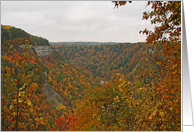 Letchworth Canyon In...