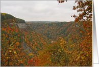 Letchworth Canyon In Fall Blank Card