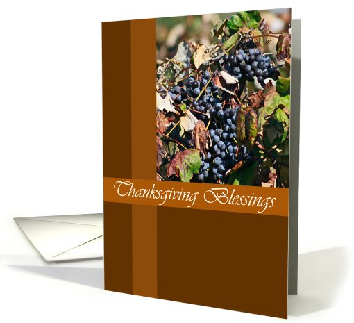 Autumn Vineyard Grapes Thanksgiving card (510922)