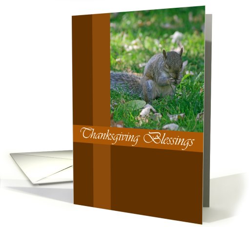 Praying Squirrel Thanksgiving card (510926)
