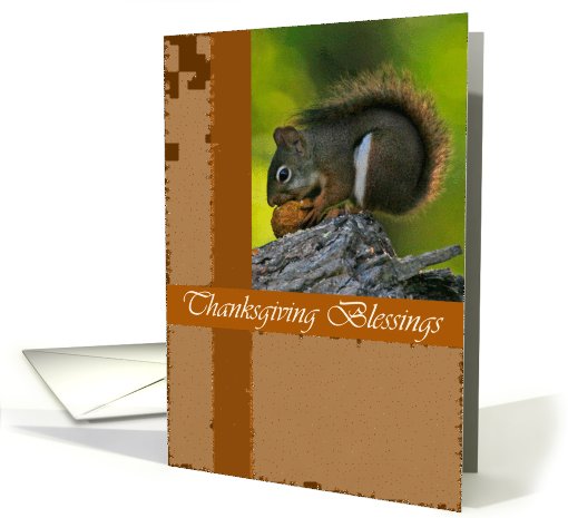 Snacking Squirrel Thanksgiving card (510927)