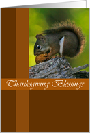 Snacking Squirrel Thanksgiving Card