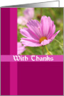 Pink Cosmos Thank You Card