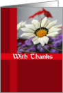 White Flower Thank You Card