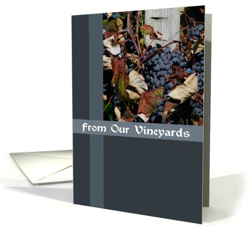 From Our Vineyards card (510995)