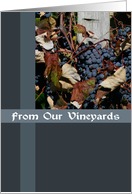 From Our Vineyards Card