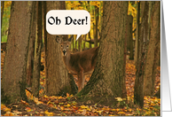 Oh Deer Belated...
