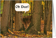 Oh Deer Belated Birthday Card