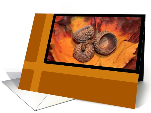 Autumn Acorn Caps Blank card (511972)