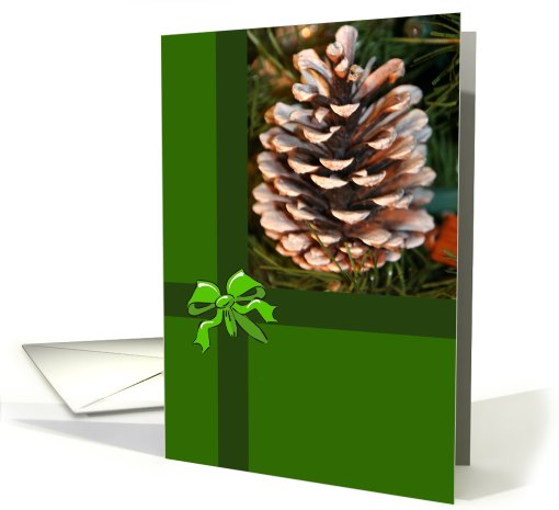 Frosted Pine Cone Blank card (511974)