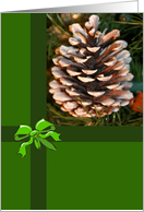 Frosted Pine Cone Blank Card
