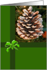 Frosted Pine Cone Blank Card