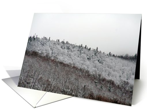 Adirondack Mountain Snow Christmas card (533529)