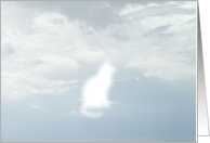 Cat in the Clouds card