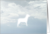 Dog in the Clouds card