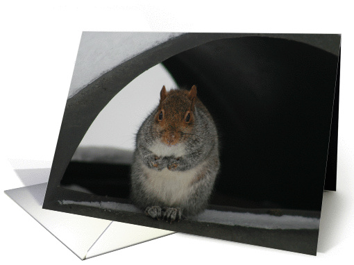 Lonely Without You Squirrel card (54040)