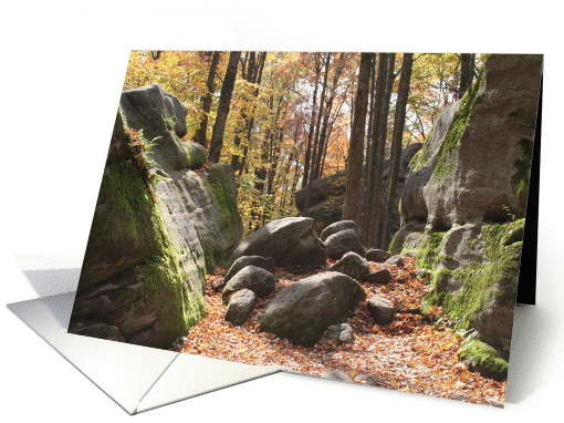 Irish Friendship Blessing-Autumn Woods card (54531)