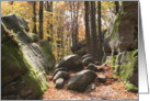 Irish Friendship Blessing-Autumn Woods card