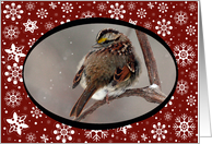 Snowflake Sparrow Christmas Card