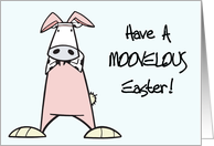 Moovelous Easter Card