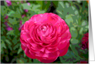 Irish Blessing For Remembering Blessings card