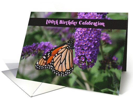Butterfly 100th Birthday Invitations card (581700)