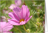 Cosmos Thank You Administrative Professionals Day Card