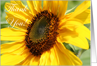 Sunflower Thank You...