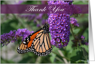 Butterfly Thank You Card