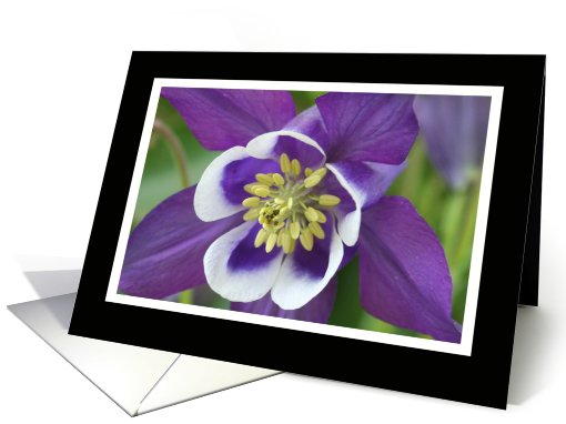Columbine Employee Thank You card (589873)
