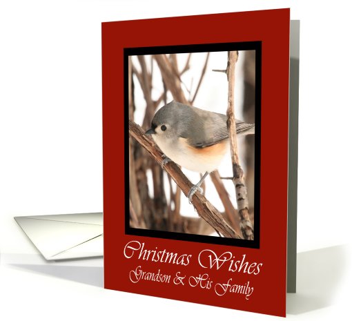 Grandson And His Family Titmouse Christmas Wishes card (591272)