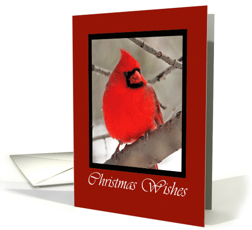 Cardinal Christmas Wishes card (593498)