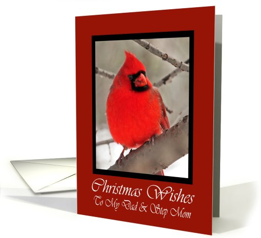 Dad And Step Mom Cardinal Christmas Wishes card (593508)