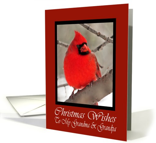 Grandma And Grandpa Cardinal Christmas Wishes card (593558)