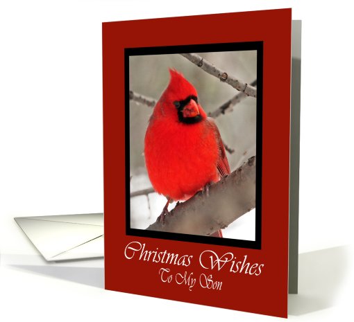 Son Cardinal Christmas Wishes card (593601)