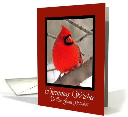 Our Great Grandson Cardinal Christmas Wishes card (593658)