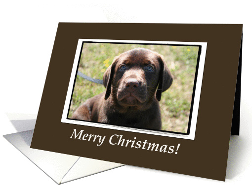 Merry Christmas Puppy card (78307)