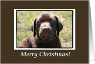 Merry Christmas Puppy card