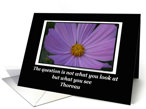 Inspirational Card-Purple Flowers card (86334)