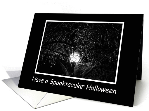 Have a Spooktacular Halloween card (87809)