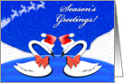 Season’s Greetings from the Swans card