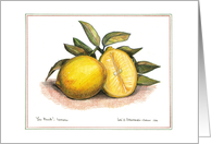 Lemons card