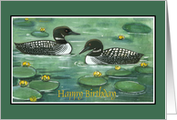 Loons, Happy Birthday card