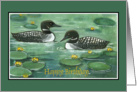 Loons, Happy Birthday card