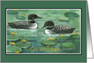 Loons, Get Well Soon card