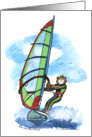 Windsurfer, Male card