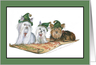 Christmas Yorkies card